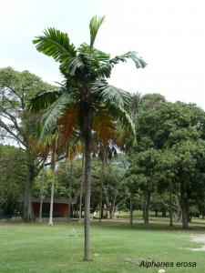 PGM 08.jpg